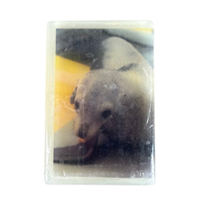 Load image into Gallery viewer, Sea Lion Sandalwood Soap
