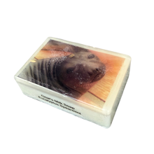 Load image into Gallery viewer, Elephant Seal Eucalyptus Spearmint Soap
