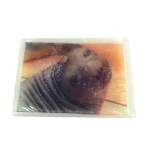 Load image into Gallery viewer, Elephant Seal Eucalyptus Spearmint Soap
