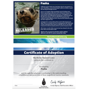 Adopt-a-Seal® - Pasha - Exclusive Digital Download!