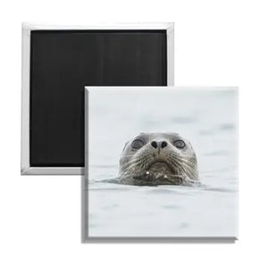 Elster Harbor Seal Magnet