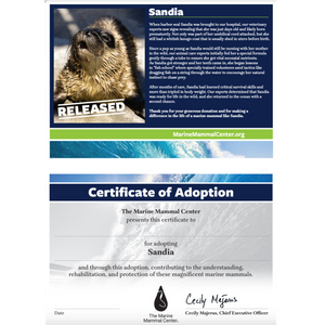 Adopt-a-Seal® - Sandia - Exclusive Digital Download!