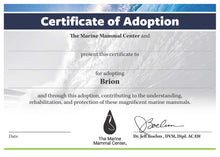 Load image into Gallery viewer, Adopt-a-Seal® Brion - Exclusive Digital Download!
