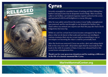 Load image into Gallery viewer, Adopt-a-Seal® Cyrus - Exclusive Digital Download!
