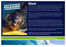 Load image into Gallery viewer, Adopt-a-Seal® Giant - Exclusive Digital Download!
