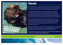 Load image into Gallery viewer, Adopt-a-Seal®  Hanai - Exclusive Digital Download!
