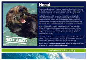 Adopt-a-Seal®  Hanai - Exclusive Digital Download!