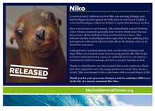 Load image into Gallery viewer, Adopt-a-Seal® Niko - Exclusive Digital Download!
