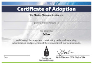 Adopt-a-Seal® Niko - Exclusive Digital Download!