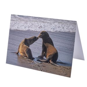 Sea Lion Kiss "Things Always Seem Better" Greeting Card