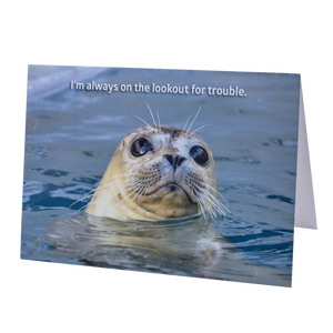 Harbor Seal "Lava Plato" Lookout For Trouble Greeting Card