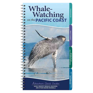 Whale-Watching on the Pacific Coast Adventure Quick Guide