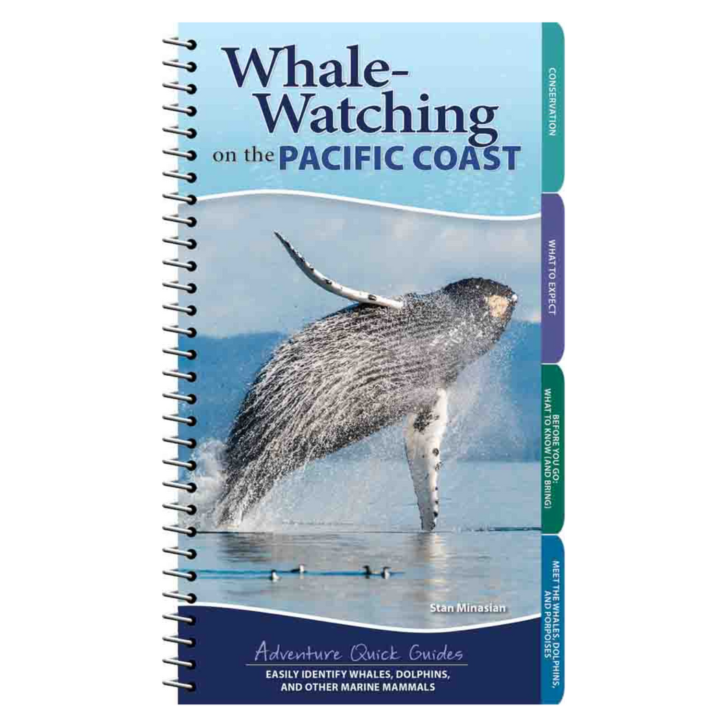 Whale-Watching on the Pacific Coast Adventure Quick Guide