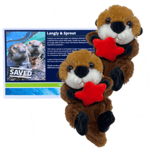 Adopt-a-Seal® - Langly & Sprout