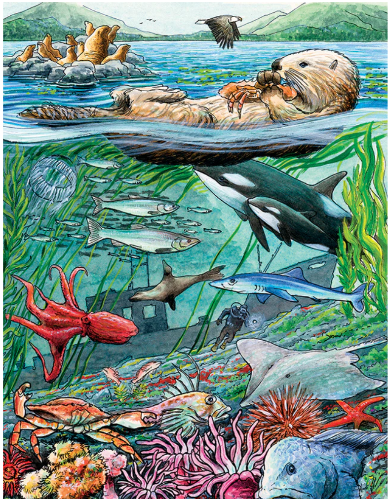 Life on the Pacific Ocean 35 Piece Tray Puzzle