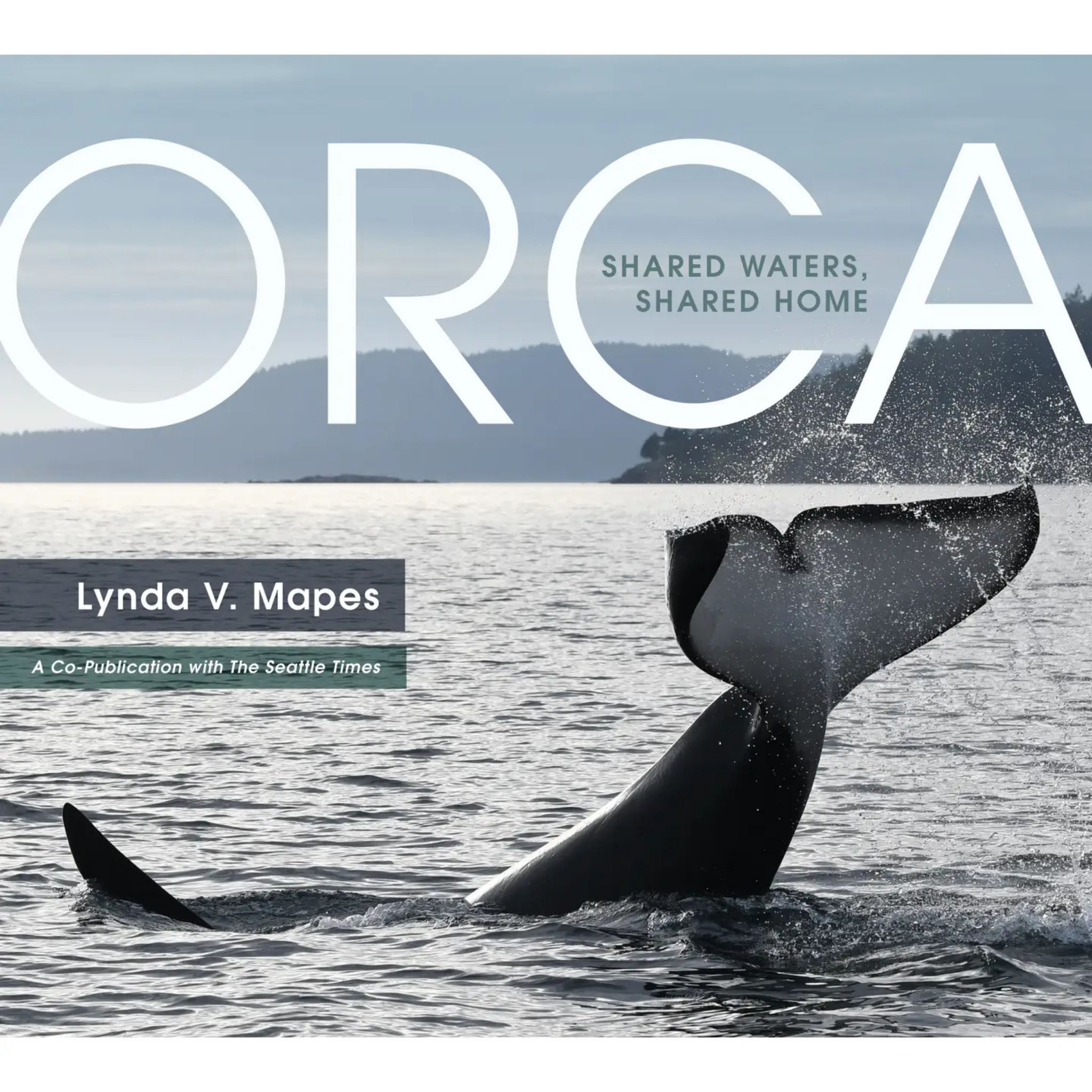 Orca – The Marine Mammal Center Gift Store