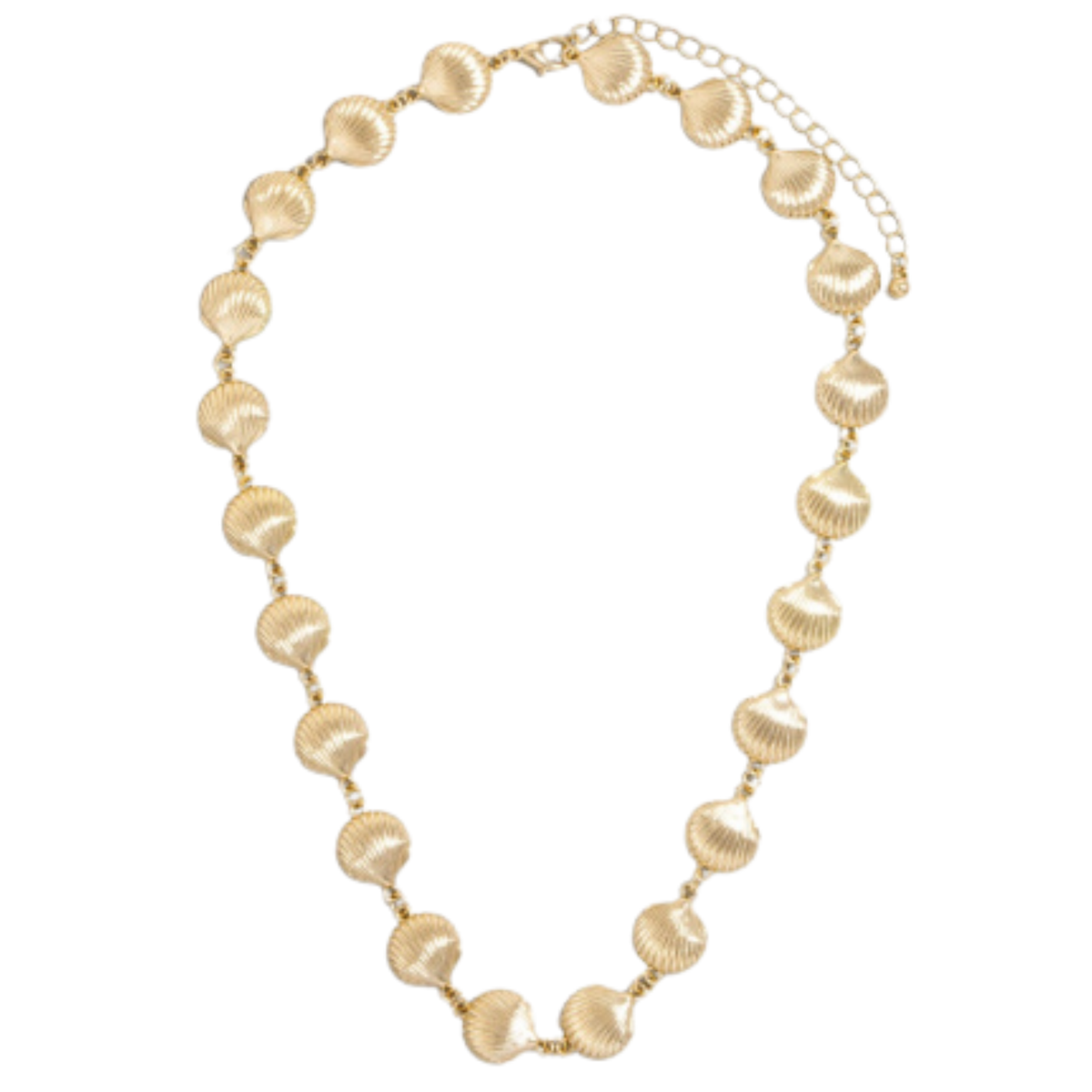 Gold Clam Shell Chain Link Necklace – The Marine Mammal Center Gift Store