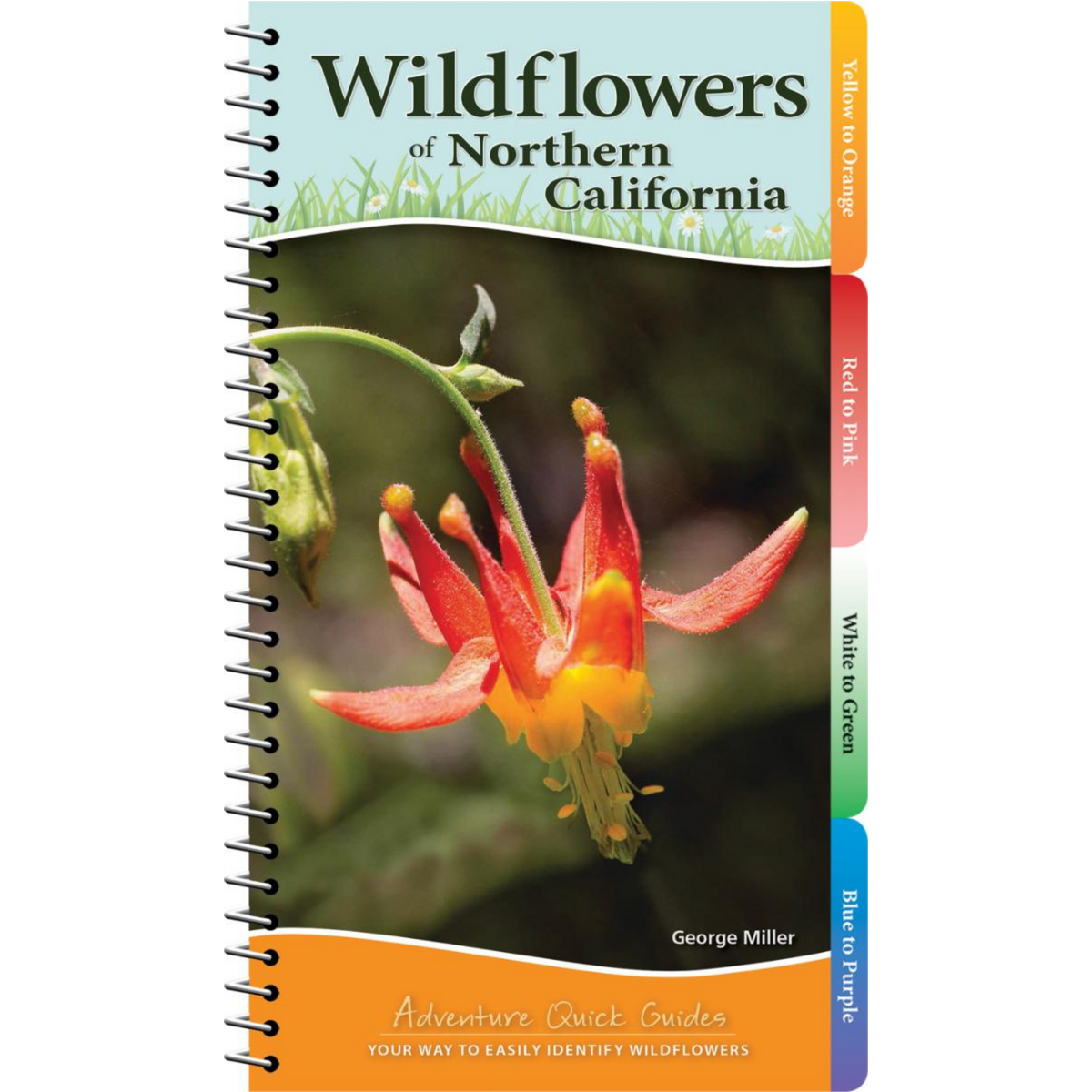 Wildflowers of Northern California Adventure Quick Guide – The Marine ...