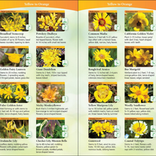 Load image into Gallery viewer, Wildflowers of Northern California Adventure Quick Guide

