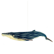 Load image into Gallery viewer, Humpback Whale DIY Wood Assembly Kit
