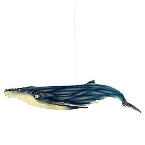 Humpback Whale DIY Wood Assembly Kit