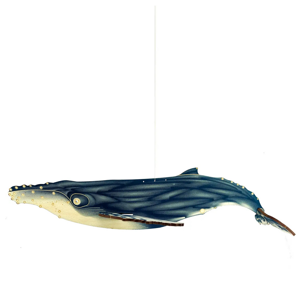 Humpback Whale DIY Wood Assembly Kit