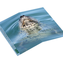 Load image into Gallery viewer, Harbor Seal Breathe Card
