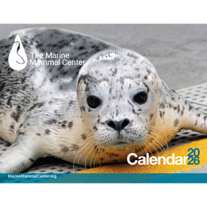 2026 Calendar Pre-Order