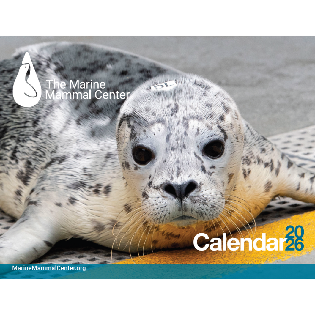 2026 Calendar Pre-Order