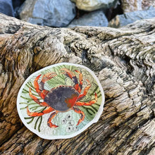 Load image into Gallery viewer, Tide Pool Crab Sticker
