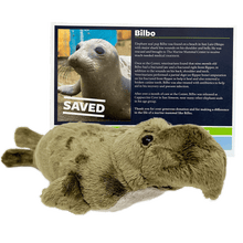 Load image into Gallery viewer, Tan/brown elephant seal plush in front of certificate with elephant seal Bilbo&#39;s photo and story. 
