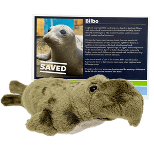 Tan/brown elephant seal plush in front of certificate with elephant seal Bilbo's photo and story. 