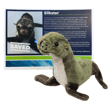 Load image into Gallery viewer, Brown and tan fur seal plush toy in front of certificate with Guadalupe fur seal pup Silkster&#39;s photo and story
