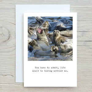 Elster Harbor Seal Friendship Card