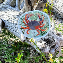 Load image into Gallery viewer, Tide Pool Crab Sticker
