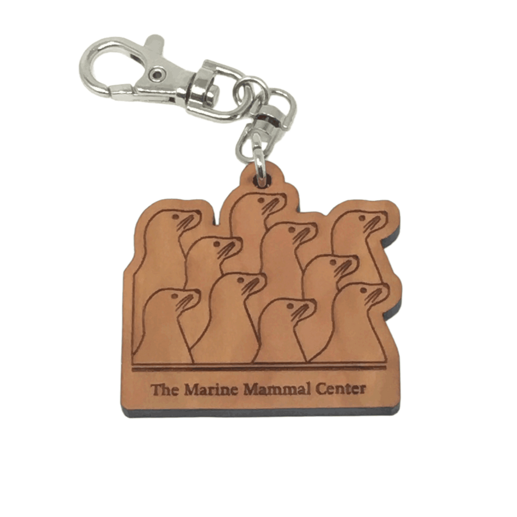 Brown wood rectangular keychain with the outlines of 10 sea lions and text 
