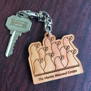 Wood keychain with laser-cut design of ten sea lion profiles and text "The Marine Mammal Center" underneath. Keychain is attached to a large gold key. 