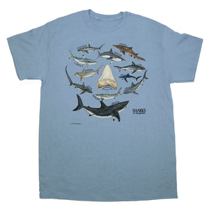 Shark & Tooth Short-Sleeve Shirt - Blue XXL