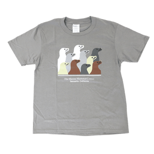 Light gray youth t-shirt with ten sea lion profiles in white, gray, tan and brown. Text "The Marine Mammal Center" "Sausalito California" underneath design.