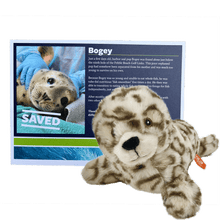 Load image into Gallery viewer, Adopt-a-Seal® - Bogey
