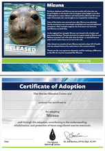 Load image into Gallery viewer, Sample certificate of adoption with patient&#39;s photo and story in top half, certificate of adoption in bottom half. 

