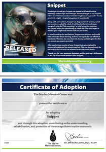 Sample certificate of adoption with patient's photo and story in top half, certificate of adoption in bottom half. 