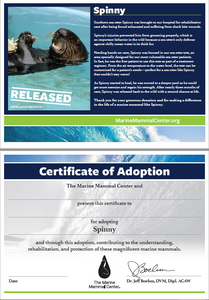 Sample certificate of adoption with patient's photo and story in top half, certificate of adoption in bottom half. 