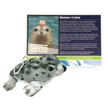 Load image into Gallery viewer, Gray harbor seal plush keychain with black spots next to dark blue certificate with harbor seal photo.
