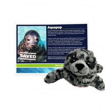 Load image into Gallery viewer, Small harbor seal plush in grey and black sits in front of a certificate reading &quot;Aquapup&quot; and &quot;Saved&quot; with Adopt-a-Seal Aquapup&#39;s patient story.
