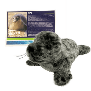 Gray monk seal plush next to dark blue certificate with monk seal photo.