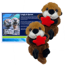 Load image into Gallery viewer, Two sea otter plush toys holding red sea stars, next to dark blue certificate with sea otter photo.
