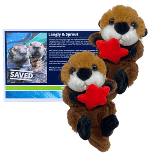 Two sea otter plush toys holding red sea stars, next to dark blue certificate with sea otter photo.