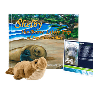 Book titled Shelby the Brave Little Pup of San Simeon Bay, tan elephant seal plush, and dark blue certificate with elephant seal photo.