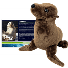 Load image into Gallery viewer, Large dark brown sea lion plush in front of a certificate reading &quot;Saved&quot; and name &quot;Percevero&quot;.
